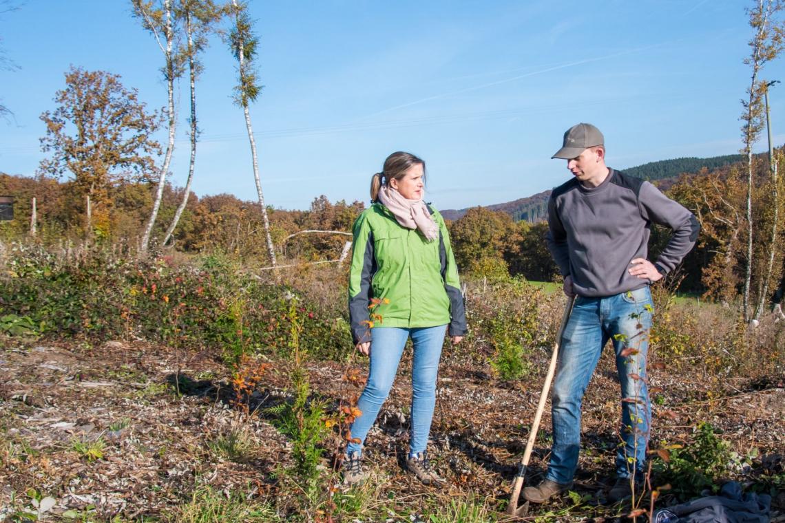 Plantation 10000 arbres